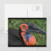 DSC00171 BRIEFKAART (Voorkant / Achterkant)