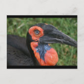 DSC00171 BRIEFKAART (Voorkant)