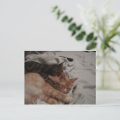 dsc00178[1] (2) briefkaart (Staand voorkant)