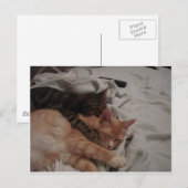 dsc00178[1] (2) briefkaart (Voorkant / Achterkant)