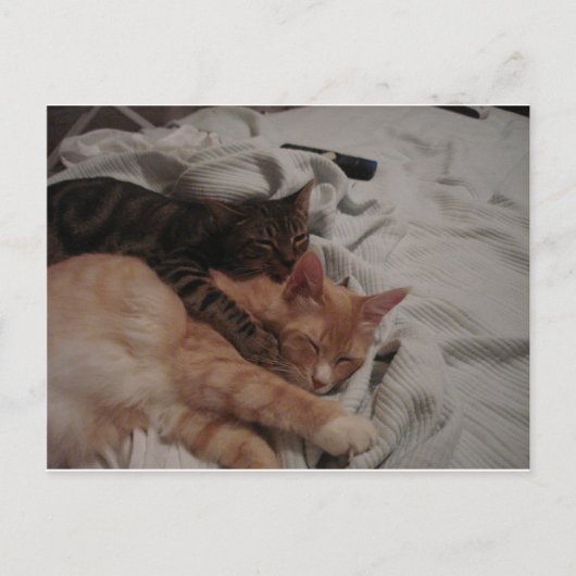 dsc00178[1] (2) briefkaart (Voorkant)