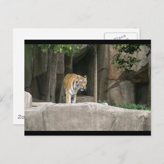 DSC00222 BRIEFKAART (Voorkant / Achterkant)