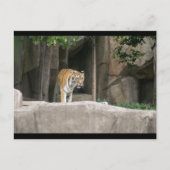 DSC00222 BRIEFKAART (Voorkant)