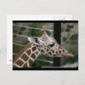 DSC00238 BRIEFKAART (Voorkant / Achterkant)