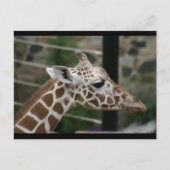 DSC00238 BRIEFKAART (Voorkant)