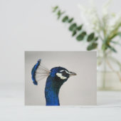 DSC00292 BRIEFKAART (Staand voorkant)