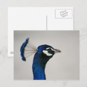 DSC00292 BRIEFKAART (Voorkant / Achterkant)