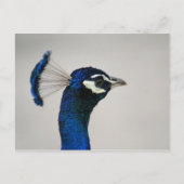 DSC00292 BRIEFKAART (Voorkant)