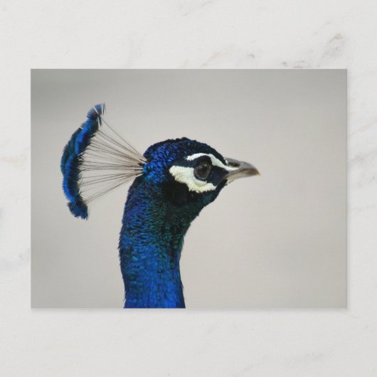 DSC00292 BRIEFKAART (Voorkant)