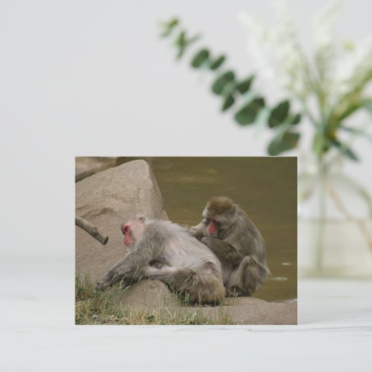 DSC00342 BRIEFKAART (Staand voorkant)