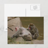 DSC00342 BRIEFKAART (Voorkant / Achterkant)