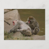 DSC00342 BRIEFKAART (Voorkant)