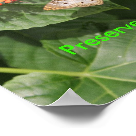 DSC00433, behoud de Schoonheid, GA GROEN! Poster (Hoek)