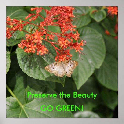 DSC00433, behoud de Schoonheid, GA GROEN! Poster (Voorkant)