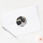 DSC00478 RONDE STICKER (Envelop)
