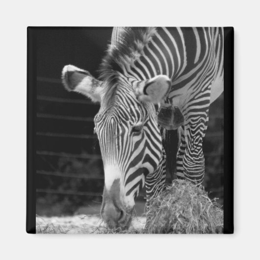 DSC01614 a Magneet (Voorkant)