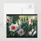 DSC01730 a Briefkaart (Voorkant / Achterkant)