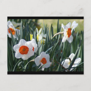 DSC01730 a Briefkaart