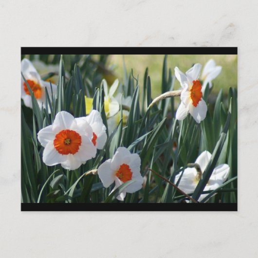 DSC01730 a Briefkaart (Voorkant)