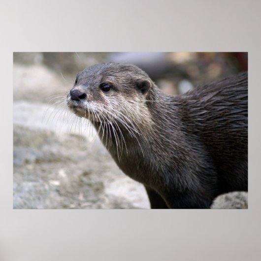 DSC01768 POSTER (Voorkant)