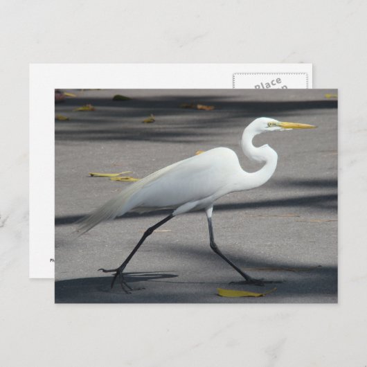 DSC02335 BRIEFKAART (Voorkant / Achterkant)