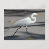 DSC02335 BRIEFKAART (Voorkant)