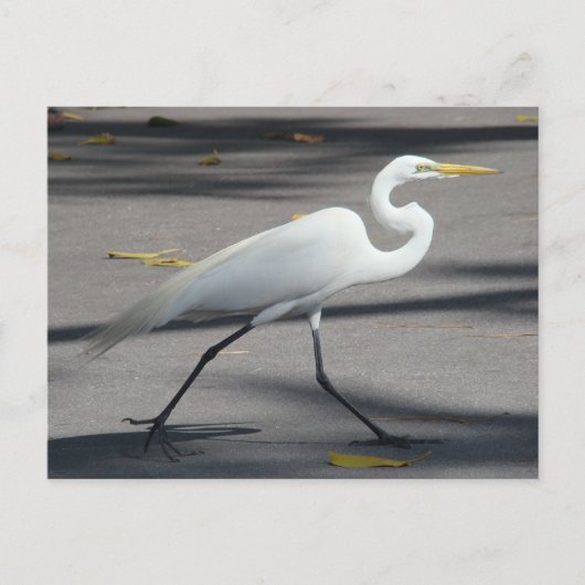 DSC02335 BRIEFKAART (Voorkant)