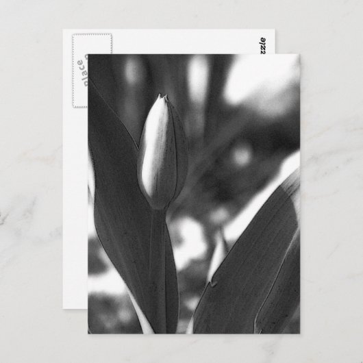 DSC02422 c Briefkaart (Voorkant / Achterkant)