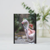 DSC02490 BRIEFKAART (Staand voorkant)