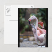 DSC02490 BRIEFKAART (Voorkant / Achterkant)