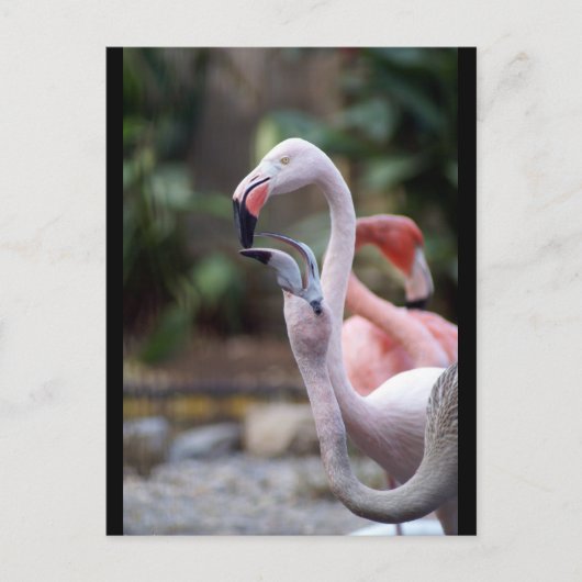 DSC02490 BRIEFKAART (Voorkant)