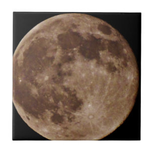 DSC02662.JPG TEGELTJE