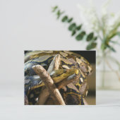 DSC04222 BRIEFKAART (Staand voorkant)