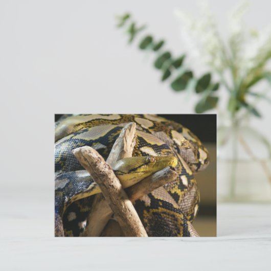 DSC04222 BRIEFKAART (Staand voorkant)