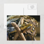 DSC04222 BRIEFKAART (Voorkant / Achterkant)