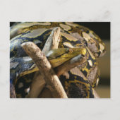 DSC04222 BRIEFKAART (Voorkant)