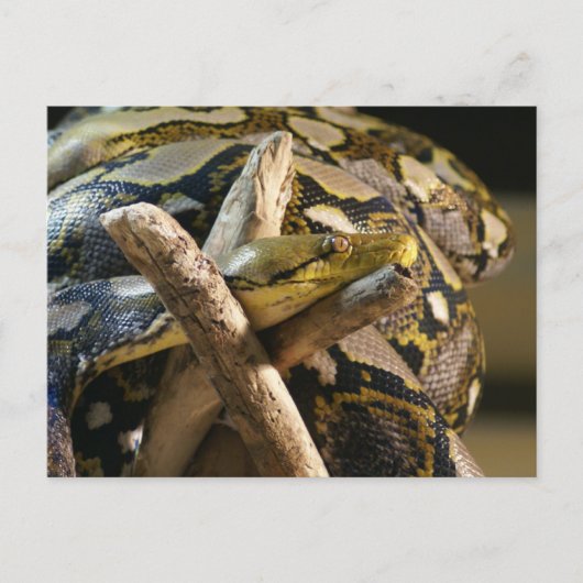 DSC04222 BRIEFKAART (Voorkant)