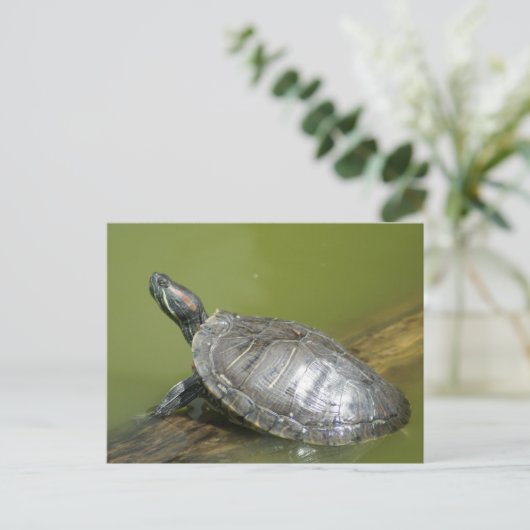 DSC04275 BRIEFKAART (Staand voorkant)