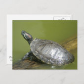 DSC04275 BRIEFKAART (Voorkant / Achterkant)