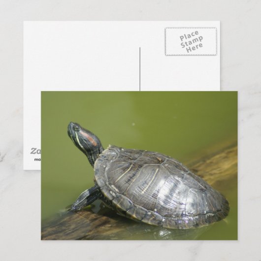 DSC04275 BRIEFKAART (Voorkant / Achterkant)