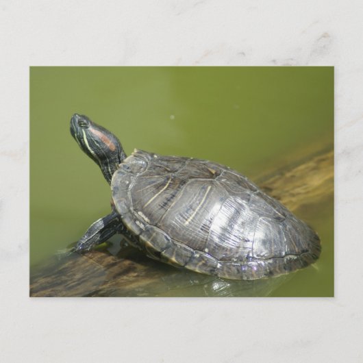 DSC04275 BRIEFKAART (Voorkant)