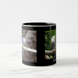 DSC04582, DSC04495, de Mok van Sally