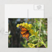 DSC05261 BRIEFKAART (Voorkant / Achterkant)