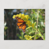 DSC05261 BRIEFKAART (Voorkant)