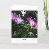 DSC05795, Gelukkig Khmer Nieuwjaar Feestdagen Kaart (Achterkant)