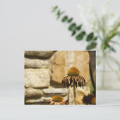 DSC06868 BRIEFKAART (Staand voorkant)