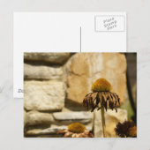 DSC06868 BRIEFKAART (Voorkant / Achterkant)