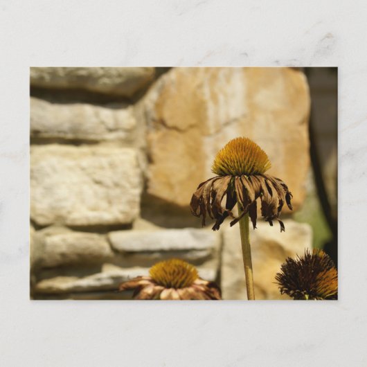 DSC06868 BRIEFKAART (Voorkant)