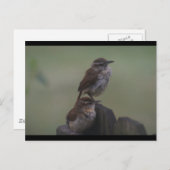 DSC07310 BRIEFKAART (Voorkant / Achterkant)