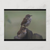 DSC07310 BRIEFKAART (Voorkant)